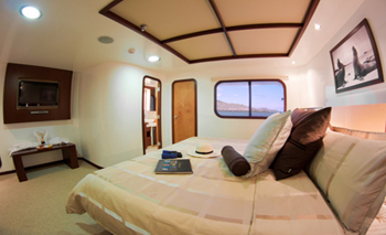 Cormorant cabin